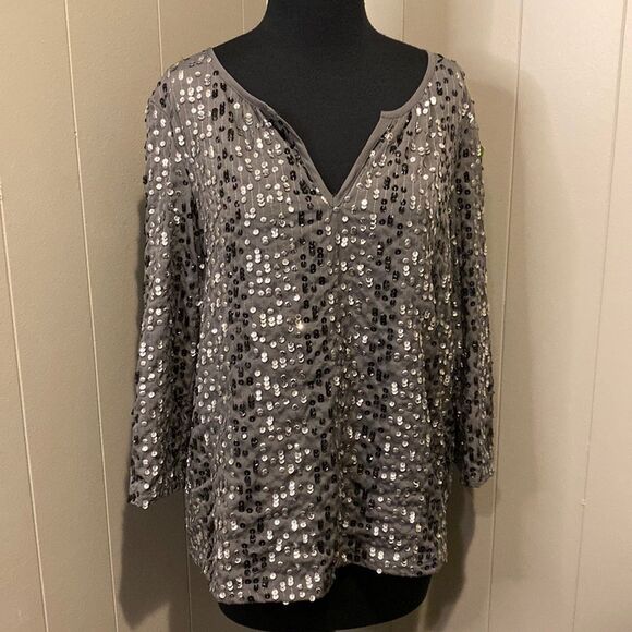 Boston Proper Small Sequin Blouse Top V Neck Long Sleeve - Picture 1 of 6